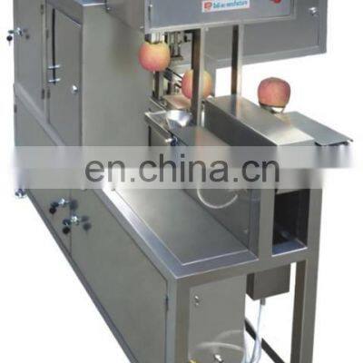 Shanghai Pineapple Peeling Machine photo-4
