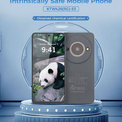 Wholesale Intrinsically Safe Mobile Phone photo-4