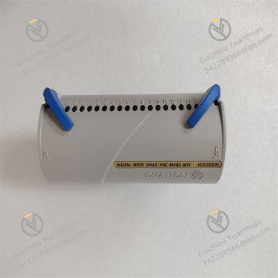 1C31232G02 EMERSON  relay output module
