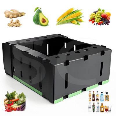 Stackable Foldable PP Containers – Space-Saving Avocado Packaging