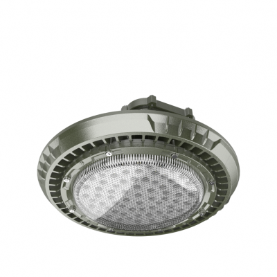 Readi LED Round Explosion-proof Floodlight photo-2