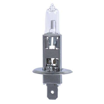Wholesale H1 Halogen Bulb 12V 55W P14.5s Super White 5000K Quartz Glass Car Auto Headlight Fog Lamp