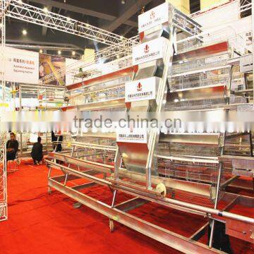 New design layer chicken breeding cages