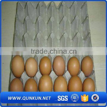 New design best price tray (for 30 eggs)