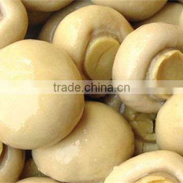 mushroom extract polysaccharides agaricus blazei powder agaricus bisporus