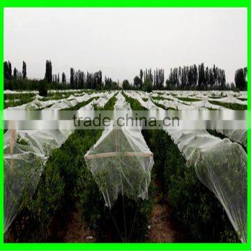 Yemen Selvage Anti Hail Net /100% Virgin HDPE Knitted Anti Hail Net photo-2