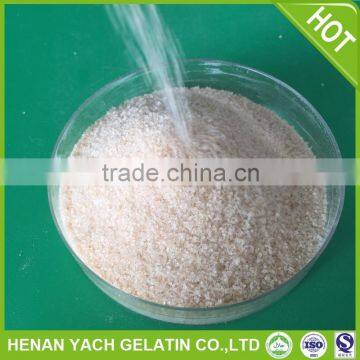 Edible Gelatin Sheets