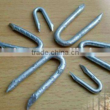 u type staples