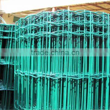 Manufacture Supply Holland Wire Mesh/chicken Fence/fence Mesh photo-6