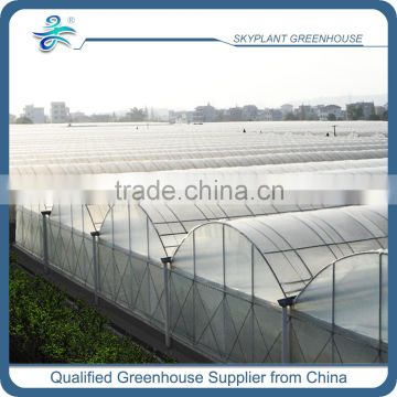 High Quality Horticultural Plastic Greenhouse