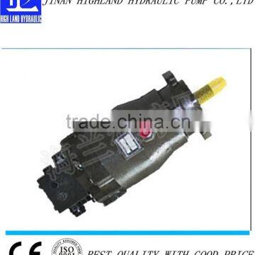 radial piston hydraulic motor