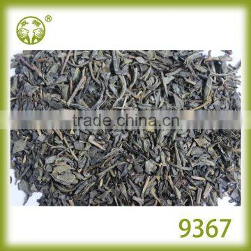 China Chunmee 9367 Green Tea for Maroc, Algerie, Niger, Mali, Senegal, Mauritania