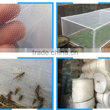 PE plant anti insect net