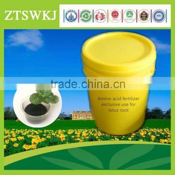 Amino acid type water flush fertilizer exclusive use for lotus root fertilizer