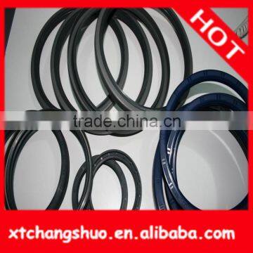 Chinese Supplier Customized Auto Parts korean tb oil seal with High Quality new design rubber nbr xingtai oil seal