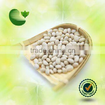 Medium White Kidney Beans White Kidney Beans
