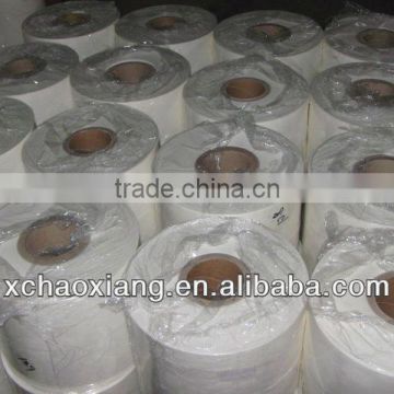 Semi-transparent polyester film for electric motor