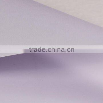 Larget Format Printing Backlit Flex, Backlit Flex Banner for Led Light Box Advertisement photo-4