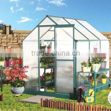 16*8 Aluminum Walk-in Garden Greenhouse