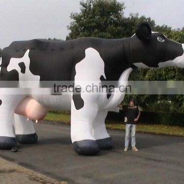 giant inflatable cow