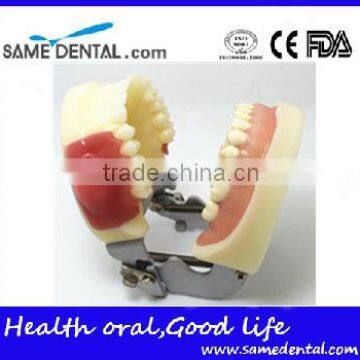 Dental Eduction Assistant No. DEA-04