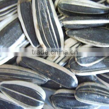 American Sunflower Seeds