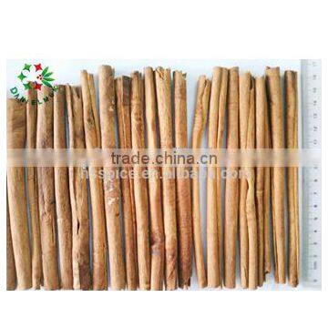 15cm Natural Bio Cinnamon Stick