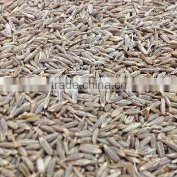 Fresh Cumin Seed