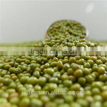 2.8mm+,3.6mm+,3.8mm+,4.2mm+ Green mung bean for sprouting