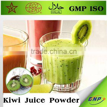 100% Natural Organic Dried Kiwi Fruit Powder photo-3