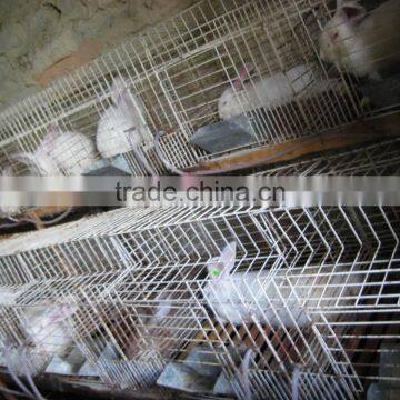 24 doors rabbit cage manufacturer