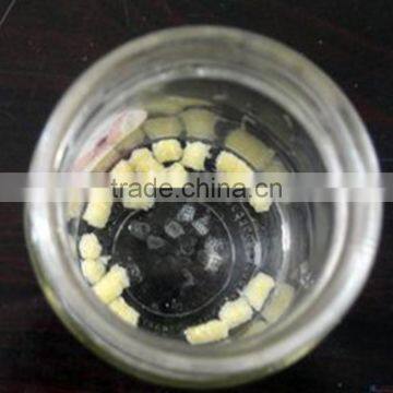 Feed Drying Machine/dry Fish for Poultry Feed Machine photo-5