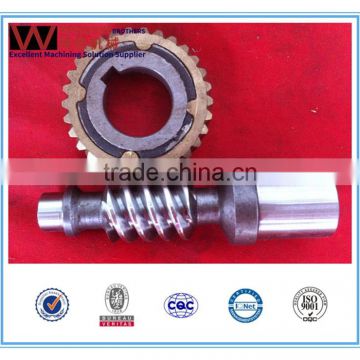 High Precision plastic worm gear with Low Price