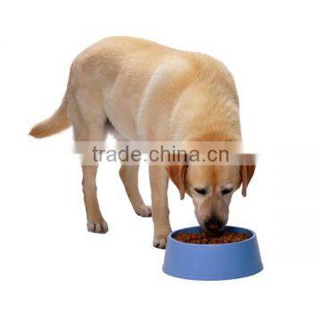 Intentional Lab Extruder for Making Pet Pellet Food photo-5