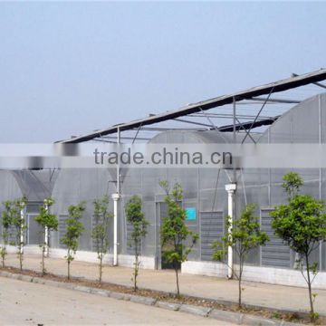 Long life service hot galvanized steel structure multi span greenhouse