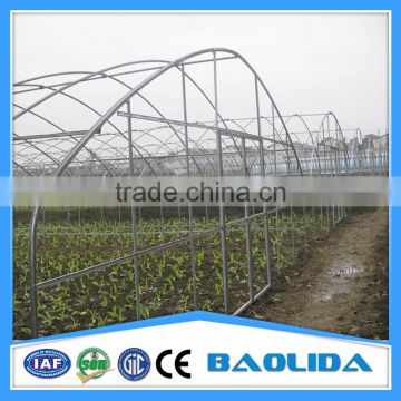 Galvanized Pipes Steel Structure 8m/9m/10m Greenhouse For Tomato