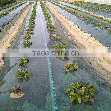 Agricultural Black Perforted Plastic Mulch Film