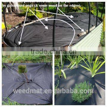 Black and Green Line pe Weedmat photo-2