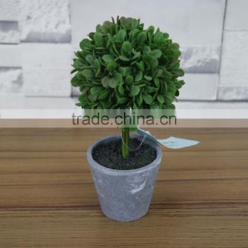 Table Decorative Mini Potted Boxwood Leaves Bonsai photo-2