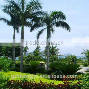 LXY080513 large outdoor decoration artificial coconut palm trees big plastic palm tree