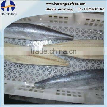 A grade quality frozen spanish mackerel fillets