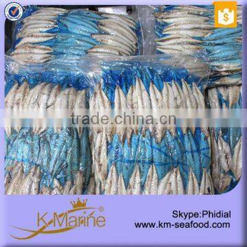 New Processing Interleaved Frozen Fish Fillets photo-3