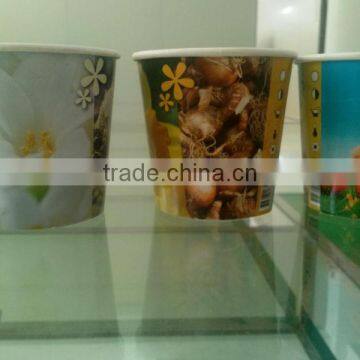 2015 New Design Decorative Paper Plant Pots Indoor for Sale