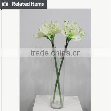 Cheap Wholesale Large Amaryllis for Halloween Arrangement photo-5