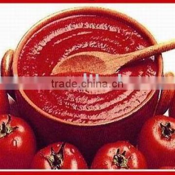 tomato paste