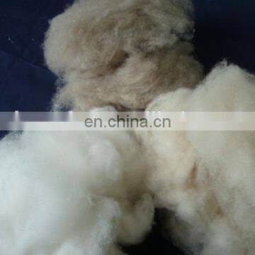 China factory process dehaired and carded cashmere fibres