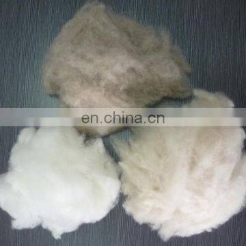 Pure fine dehaired Chinese natural white goat cashmere fiber factory wholesale