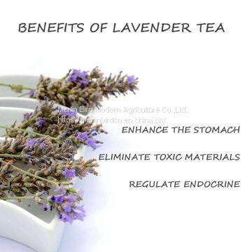 Lavender Flower Herbal Tea Calm the Nerves