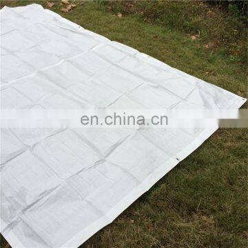 Wholesale HDPE 35 gsm-300 gsm pure pe tarpaulin for kenya market