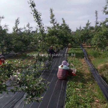 Weed Mat in Agricultural Plastic Products , Weed Control Cloth / Mat , Weed Barrier Mat